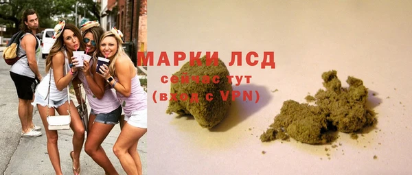 спайс Гусев